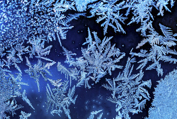 Extreme close-up of frost patterns on a window; Calgary, Alberta, Canada