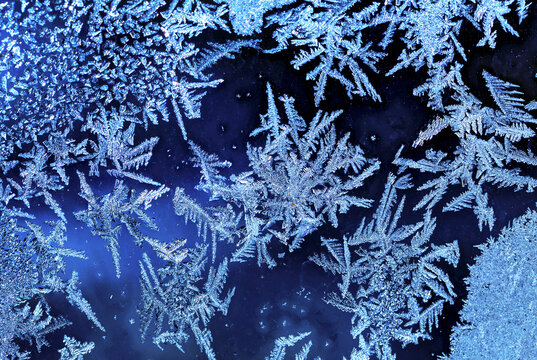 Extreme close-up of frost patterns on a window; Calgary, Alberta, Canada