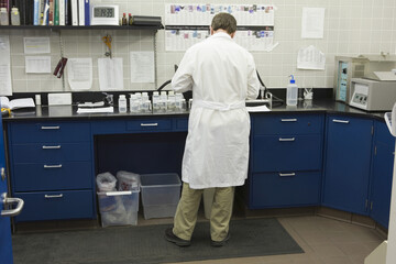 Rear view of a scientist working in a laboratory