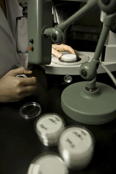 Scientist performing a bacteria count, Membrane filtration method, laboratory