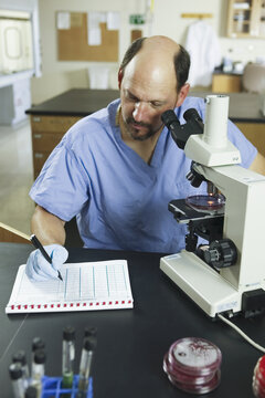 Scientist writing experimental data in a data sheet