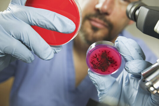 Scientist analyzing bacteria growth in a water sample