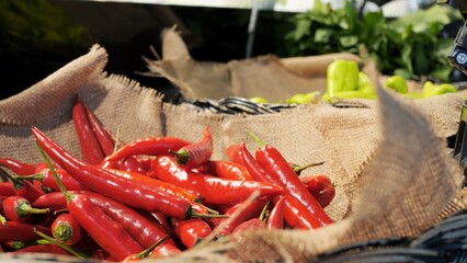 Chili peppers on counter of a farm shop that are grown with love and care for people. The hottest...