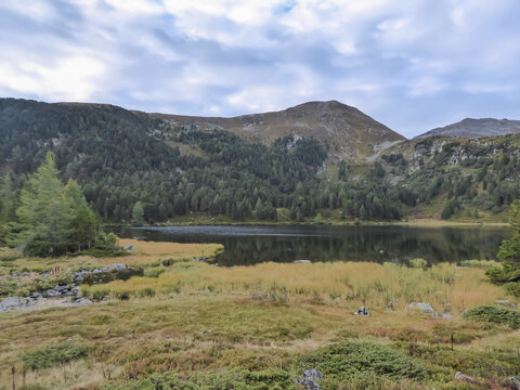 Panoramic view of alpine lake Winterleitensee surrounded by fir forest near Zirbitzkogel, Seetal Alps, Styria (Steiermark), Austria, Europe. Idyllic hiking trails in summer over alpine green pastures