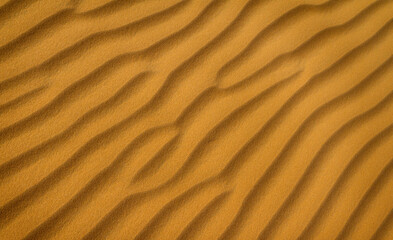 Sand ripples in the Namib desert