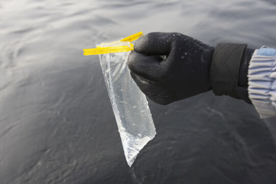 Scientist filling water sample in whirl pak