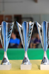 trofeos copas campeonato competición deporte mesa 4M0A8629-as22