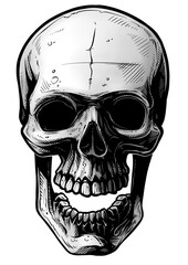 Detailed graphic hand drawn realistic black and white angry human skull with open jaw. Icon isolated on white background. Tattoo outline.