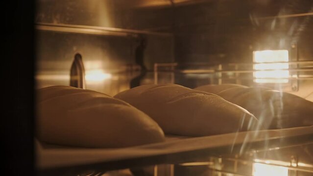 time lapse baking loafs of bread in bakery oven with high temperature close up .