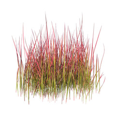 Front view of Plant (Red Grass 2) Tree png