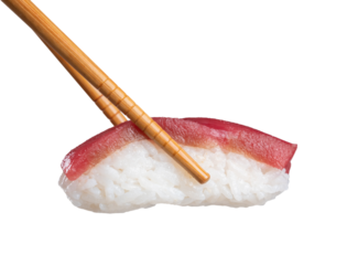 Tuna sushi nigiri in chopsticks