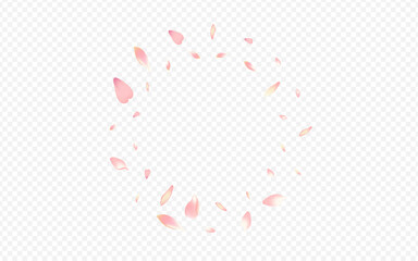 Red Flower Vector Transparent Background. Rosa