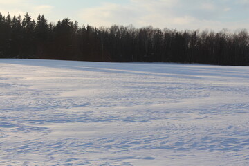 Naklejka premium Winter field and forest