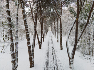 Winter Season in the Ataturk Arboretum Drone Video, Sariyer Istanbul, Turkey