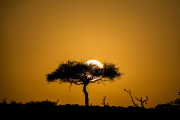 African sunset in Kenya