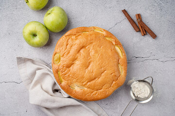 apple pie charlotte on concrete table with fresh apple and cinnamon , view from above