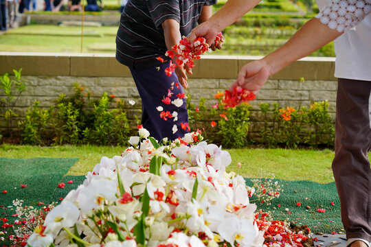 Closeup of hand spreading rose petals on grave or tabur bunga.
