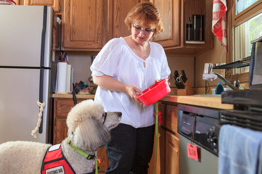 Poodle service dog with his master at the kitchen sink