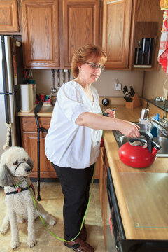 Poodle service dog with his master in the kitchen making tea