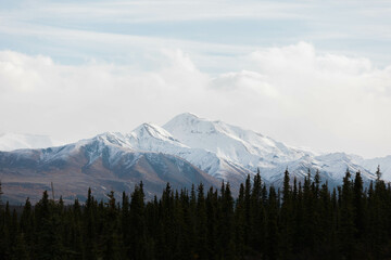 Fototapeta na wymiar Alaska's Denali National Park in Fall