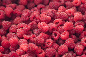 Close up of a bunch raspberries