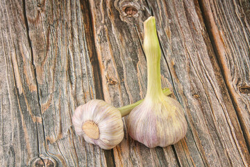 Two Young garlic over background