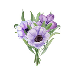 Anemones with eucalyptus isolated on a white background. Watercolor illustration. For Valentine day, wedding invitation, birthday and mother day cards, poster, textile design, cover, background