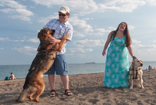Blind couple enjoying on the beach with their service dogs