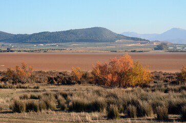 Laguna de Fuente de Piedra, Malaga