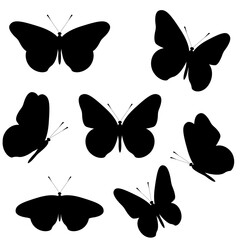 Set of black silhouettes of butterflies isolated on transparent background. Vector illustration