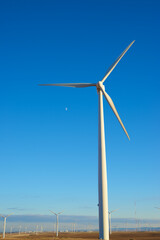 Fototapeta premium Alternative energy concept view