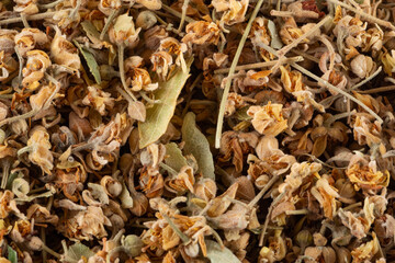 Dried linden flowers 