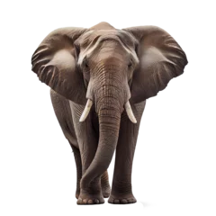 Foto op Canvas Realistic computer drawing elephant isolated on white generative AI © I LOVE PNG