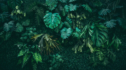 Fototapeta premium A background with an abstract design and a close-up texture of green leaves.