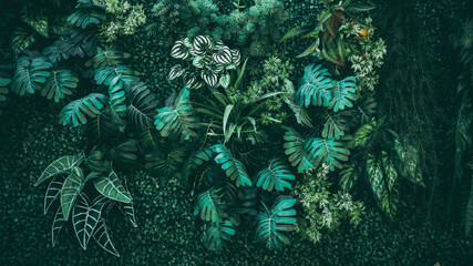 Fototapeta na wymiar A background with an abstract design and a close-up texture of green leaves.