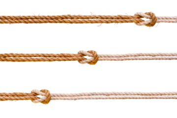 Three rough ropes with reef knot set. Png isolated with transparency