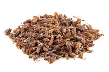 Dried Lavandula stoechas on a white background