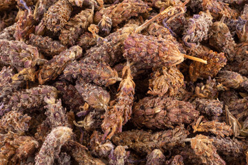 Dried Lavandula stoechas
