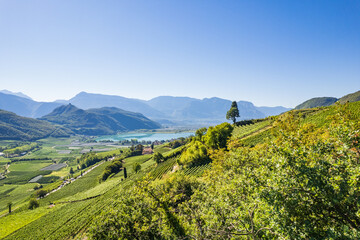 Weinberglandschaft rund um den Kalterer See im S&uuml;den S&uuml;dtirols