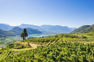 Weinberglandschaft rund um den Kalterer See im S&uuml;den S&uuml;dtirols