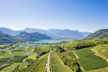 Weinberglandschaft rund um den Kalterer See im Süden Südtirols