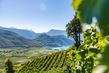 Weinberglandschaft rund um den Kalterer See im S&uuml;den S&uuml;dtirols