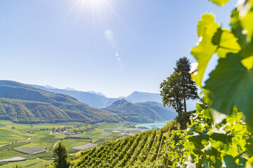 Weinberglandschaft rund um den Kalterer See im S&uuml;den S&uuml;dtirols