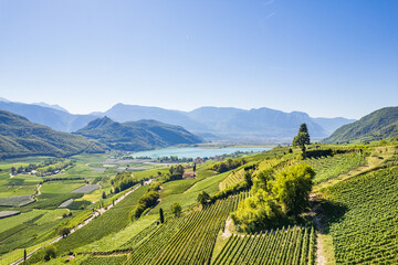 Weinberglandschaft rund um den Kalterer See im Süden Südtirols