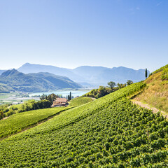 Weinberglandschaft rund um den Kalterer See im S&uuml;den S&uuml;dtirols