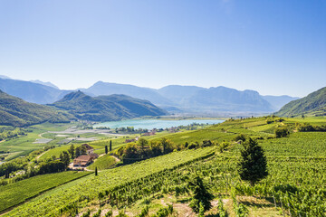 Weinberglandschaft rund um den Kalterer See im Süden Südtirols