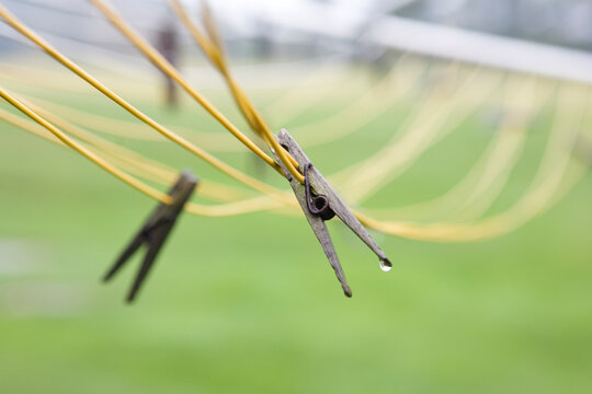 Wet clothes pins on clothes lines.