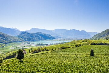 Weinberglandschaft rund um den Kalterer See im Süden Südtirols
