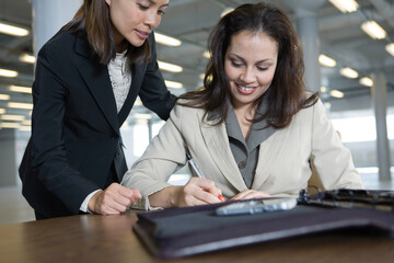 Business colleagues working in office.