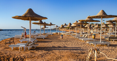 Sunrise on the Red Sea beach - obrazy, fototapety, plakaty